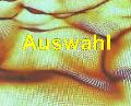 Auswahl